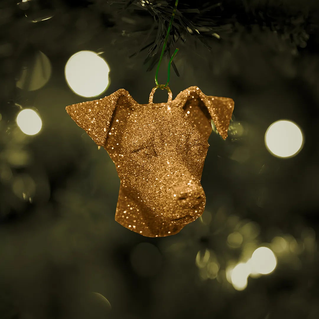 Weihnachtskugel – Jack Russell Terrier