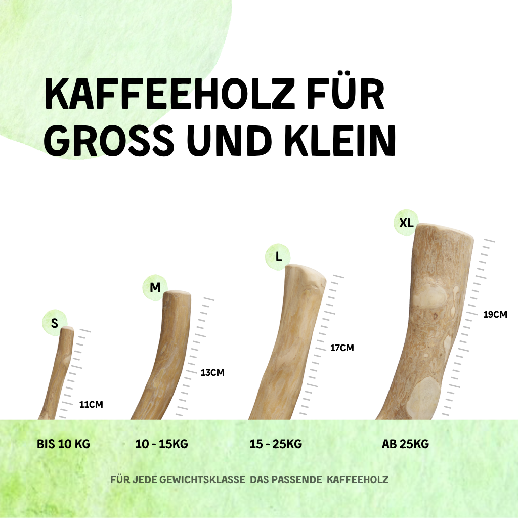 Hafenbeisser - Kaffeholz