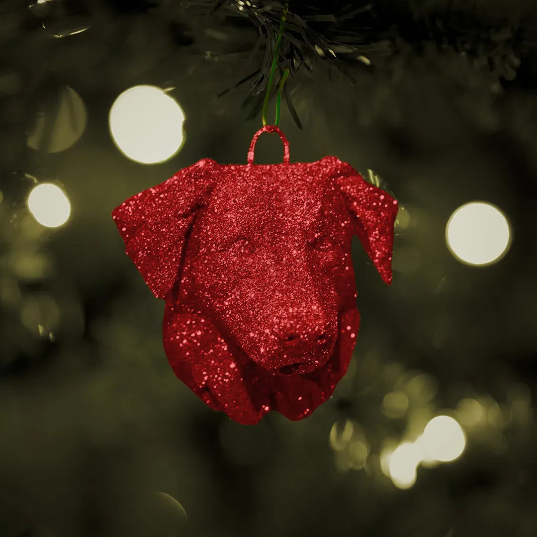 Weihnachtskugel – Australian Shepherd