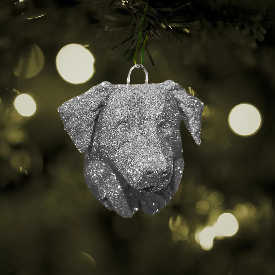 Weihnachtskugel – Australian Shepherd