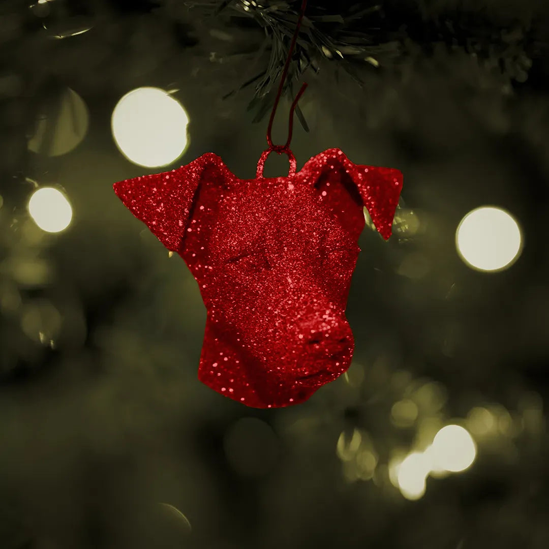 Weihnachtskugel – Jack Russell Terrier