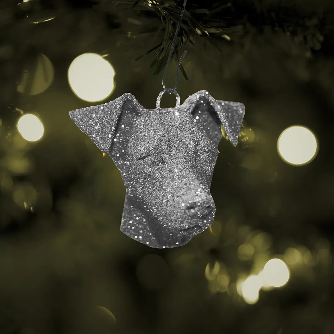 Weihnachtskugel – Jack Russell Terrier